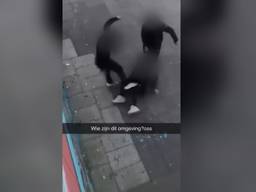 De jongen werd onder meer tegen zijn hoofd getrapt in Oss (foto: archief).